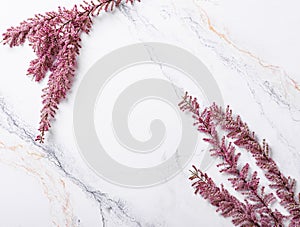 White gold marble background with branches of tamarix