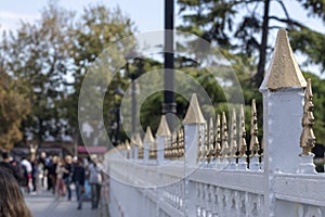 White and gold patterned fence with ottoman style patterns