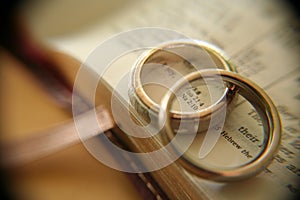 White gold wedding rings on bible