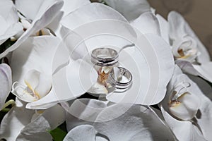 White gold wedding rings, in a bouquet of flowers for the bride