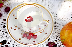 White and golden porcelain cup with milc and fresh berries - red currant, cherry