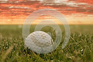 White golf ball on the green