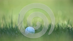 White golf ball lying on course grass, professional sport equipment, hobby