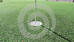 White golf ball rolling into the cup on artificial putting green