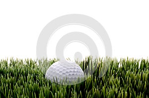 A white golfball on green gras