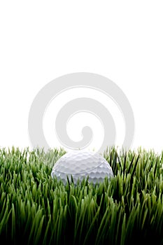 A white golfball on green grass