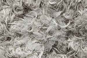 White goose feathers and fluff from pillows texture background