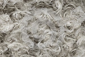 White goose feathers and fluff from pillows texture background