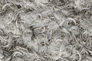 White goose feathers and fluff from pillows texture background