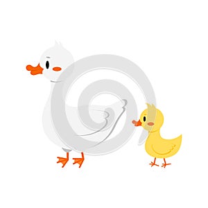 White goose with gosling icon isolated on white background.