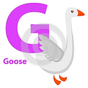 White Goose with Purple Character G on ABC Card