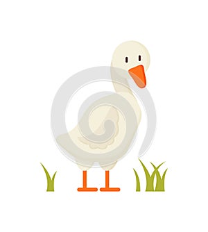 White Goose Standing on Grass Cartoon Style Poster