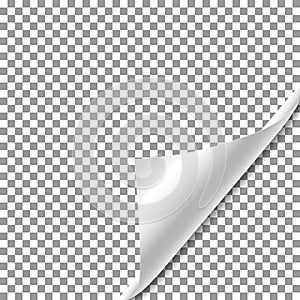 White gradient Paper curl with shadow isolated