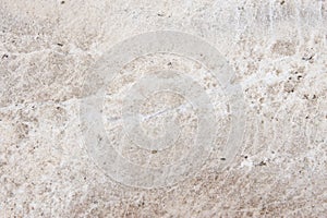 White granite