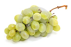 White grape