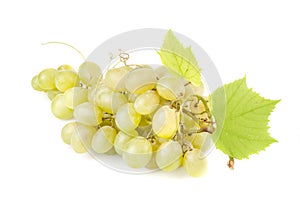 White Grape Cluster With Leaves