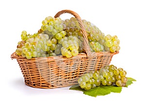 White grape clusters in basket