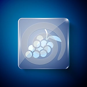 White Grape fruit icon isolated on blue background. Square glass panels. Vector