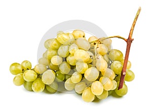 White grape on white background