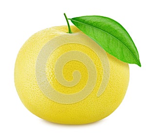 White grapefruit isolated on a white background