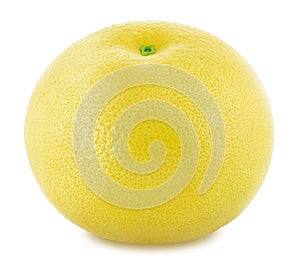 White grapefruit isolated on a white background