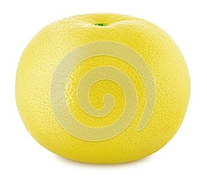 White grapefruit isolated on a white background