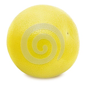 White grapefruit isolated on a white background