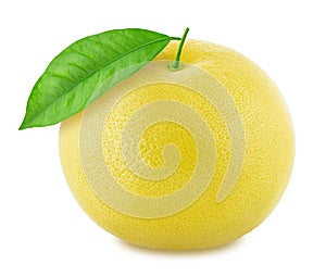 White grapefruit isolated on a white background