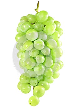 White grapes