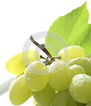 White grapes