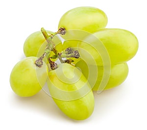 Bianco uva 