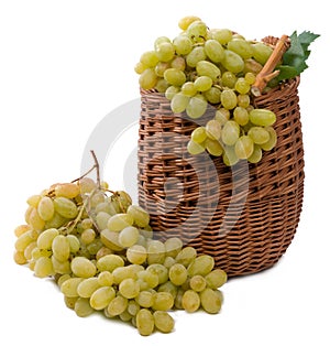 White grapes on in the basket