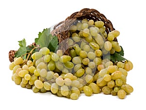 White grapes on in the basket