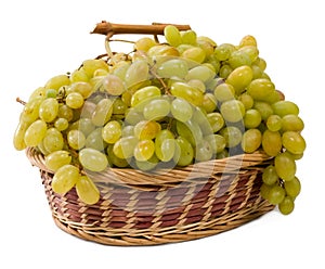 White grapes on in the basket