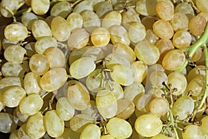 White Grapes