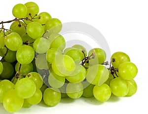 White grapes isloated and close up