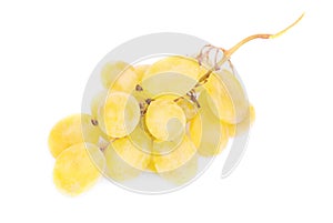 White grapes isolated on white