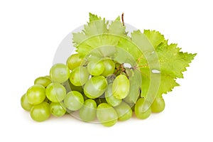 White grapes leaf