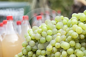 White grapes for sale