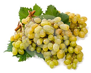 White grapes on a white background