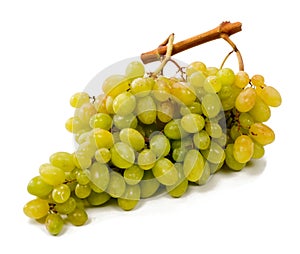 White grapes on a white background