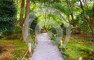 The white gravel path through the traditional Japanese moss park.  Kyoto. Japan