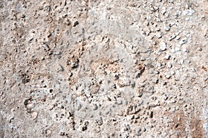 White gravel pebble stone texture for a building wall