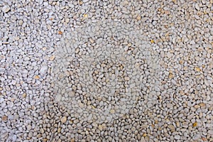 White gravel pebble stones