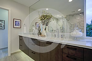White and gray calcutta marble bathroom design photo