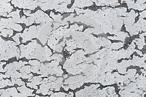 White and gray cracks in street concrete cement background texture