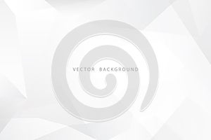 White and gray dynamic modern abstract presentation vector background