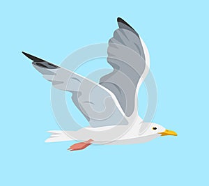 White and gray flying seagull in sky. photo