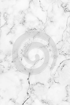 White gray marble texture with subtle grey veins