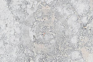 White and Gray Rough Stone Texture